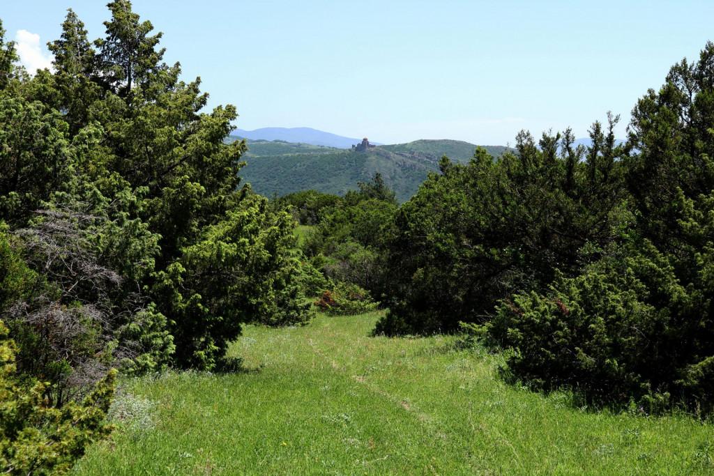 გზად კალოუბნისკენ