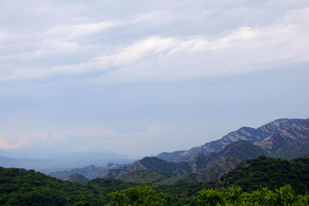 ხედი კალოუბნიდან