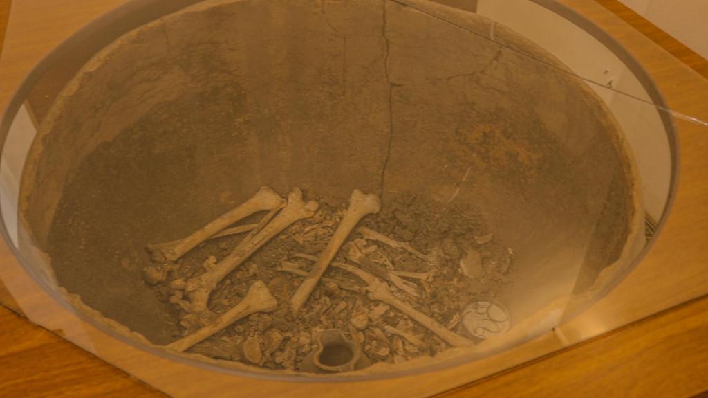 ნიკო ბერძენიშვილის სახელობის მხარეთმცოდნეობის მუზეუმი, ჩოხატაური, გურია - Niko Berdzenishvili Museum of Linguistics, Chokhatauri, Guria