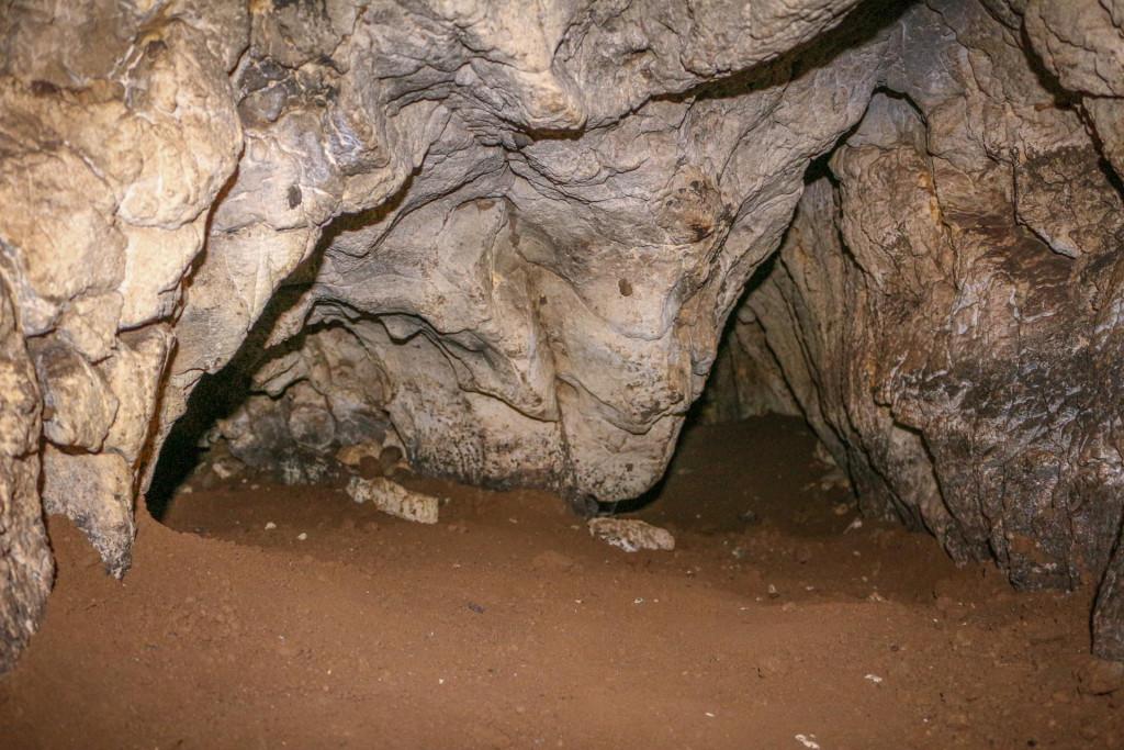 მუჯირეთის მღვიმე, Cave