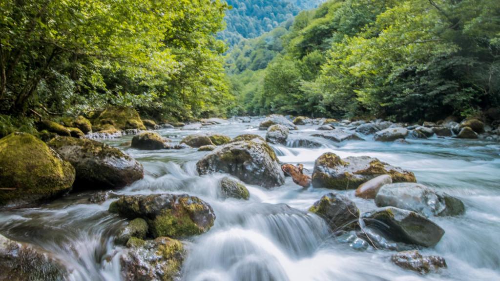 მტირალას ეროვნული პარკი, აჭარა - Mtirala National Park, Adjara