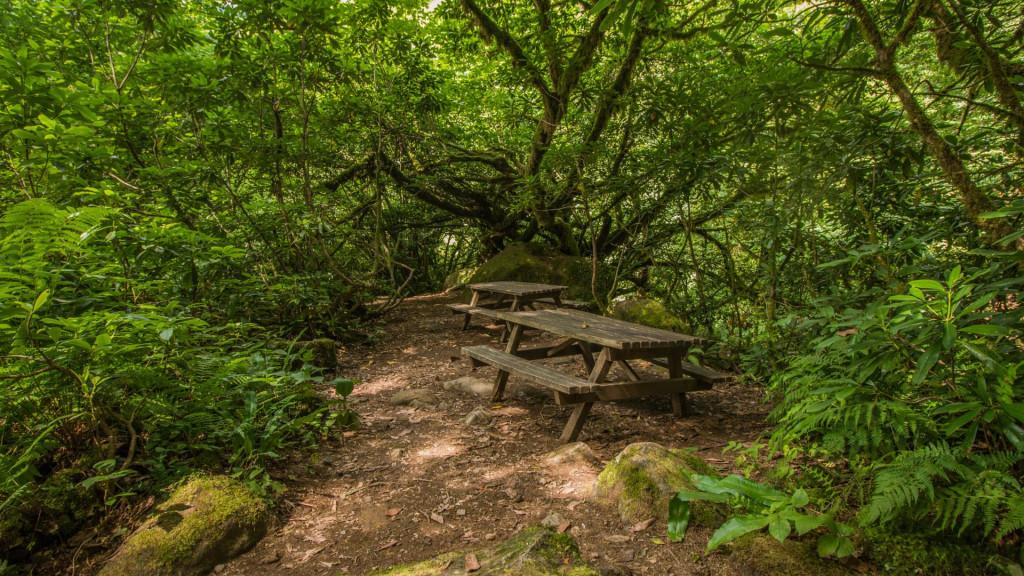 მტირალას ეროვნული პარკი, აჭარა - Mtirala National Park, Adjara