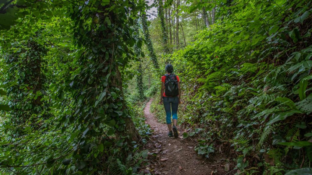 მტირალას ეროვნული პარკი, აჭარა - Mtirala National Park, Adjara