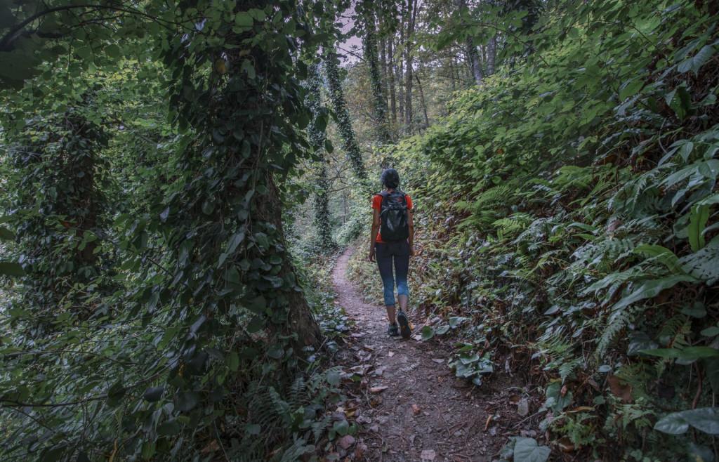 Mtirala National Park, Adjara, ეროვნული პარკი