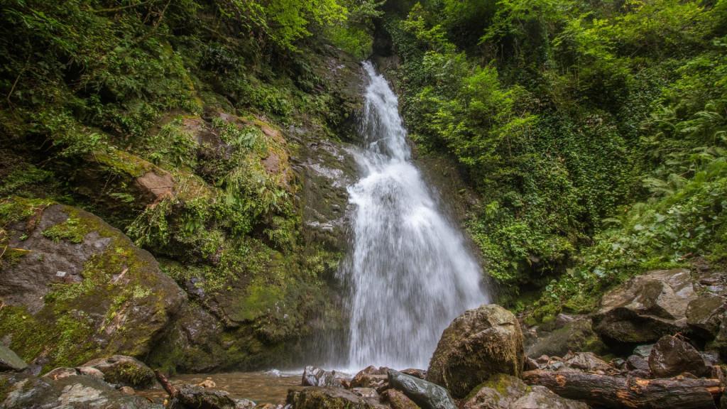 მტირალას ეროვნული პარკი, აჭარა - Mtirala National Park, Adjara