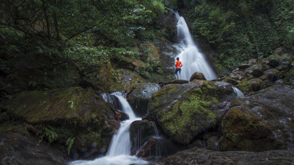 Mtirala National Park, Adjara, ეროვნული პარკი