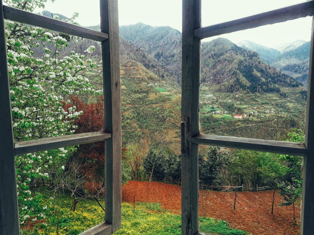 inbound4572317482948271355