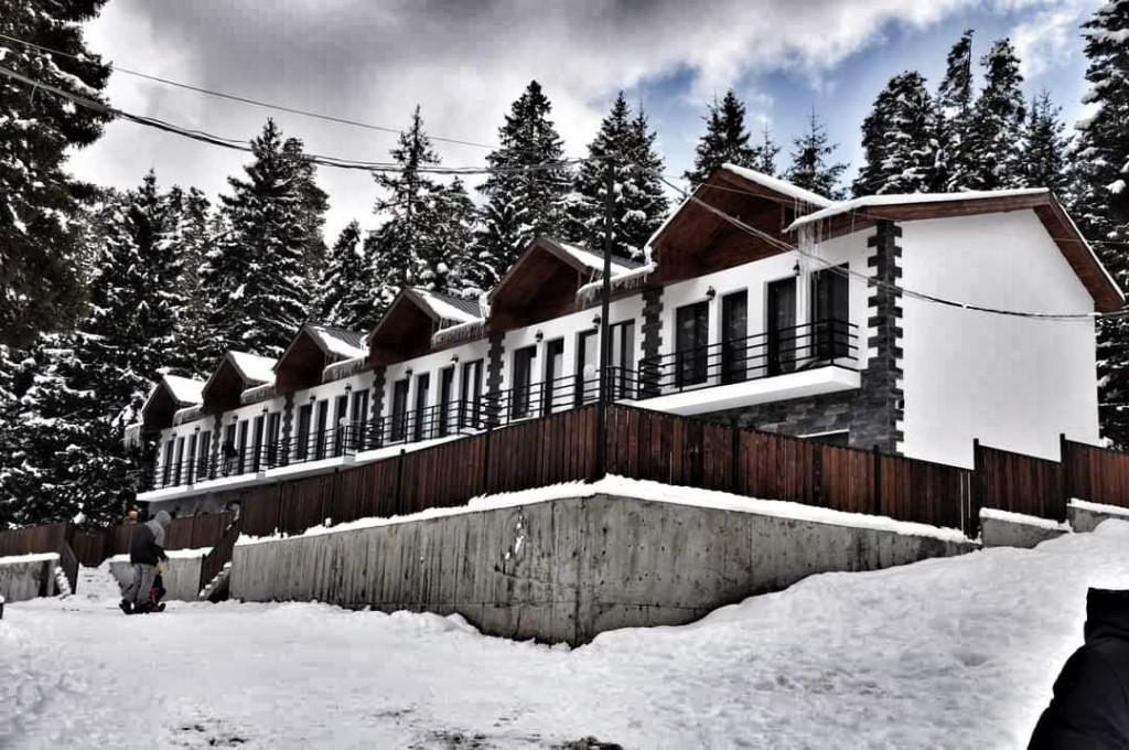 კოტეჯები წიწვოვან ტყეში