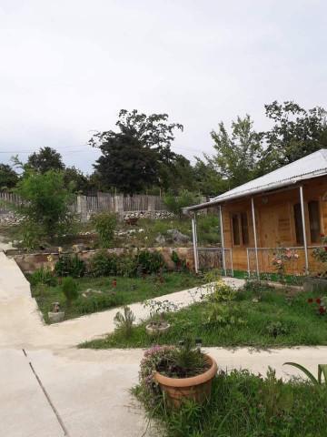 მწვანე სახლი