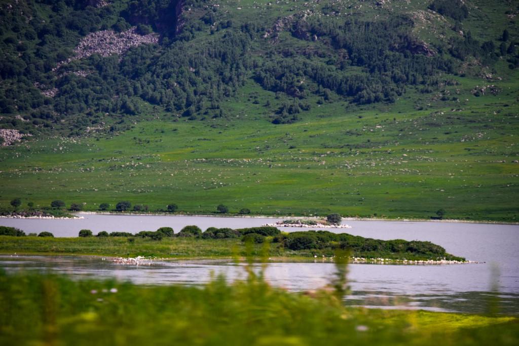 კარწახის ტბა