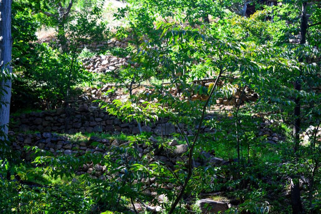 ხანძთის მონასტერი