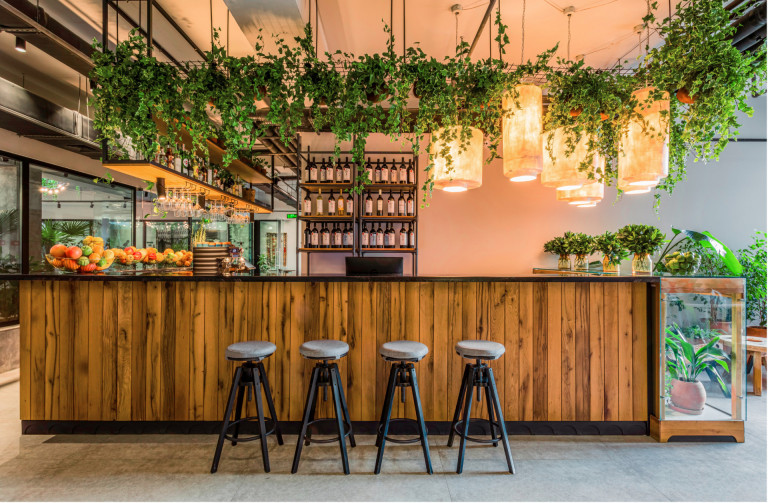 Greenery and counter at Khedi Sushi Bar