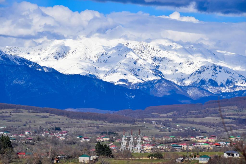 კორბოული