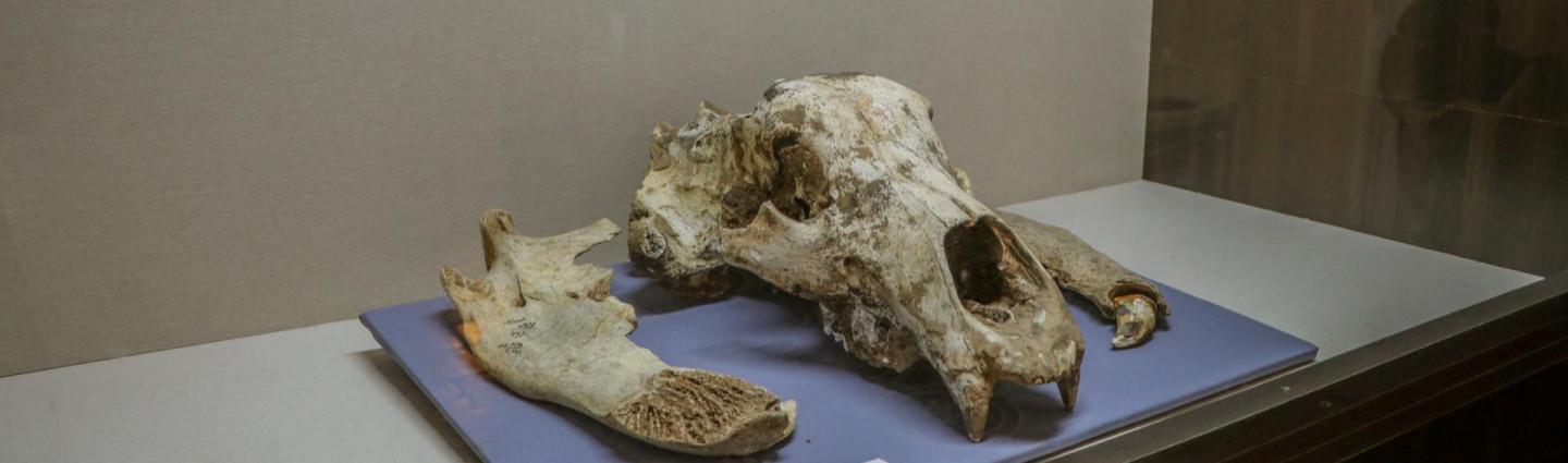 kutaisis-istoriul-etnografiuli-m