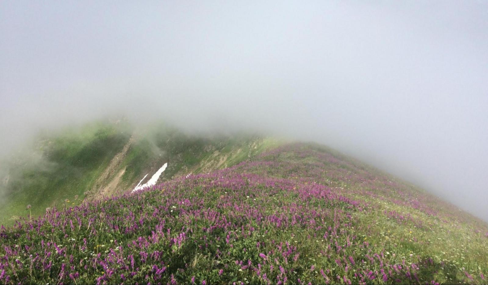 lakumurash toba lake