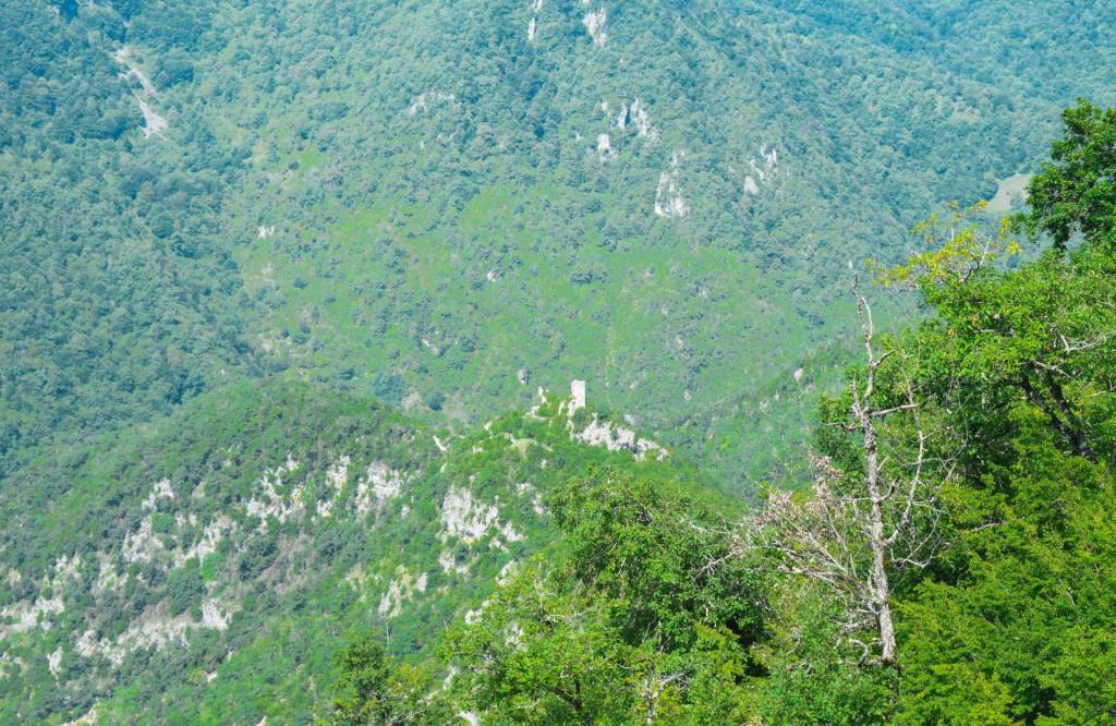 მურის ციხე