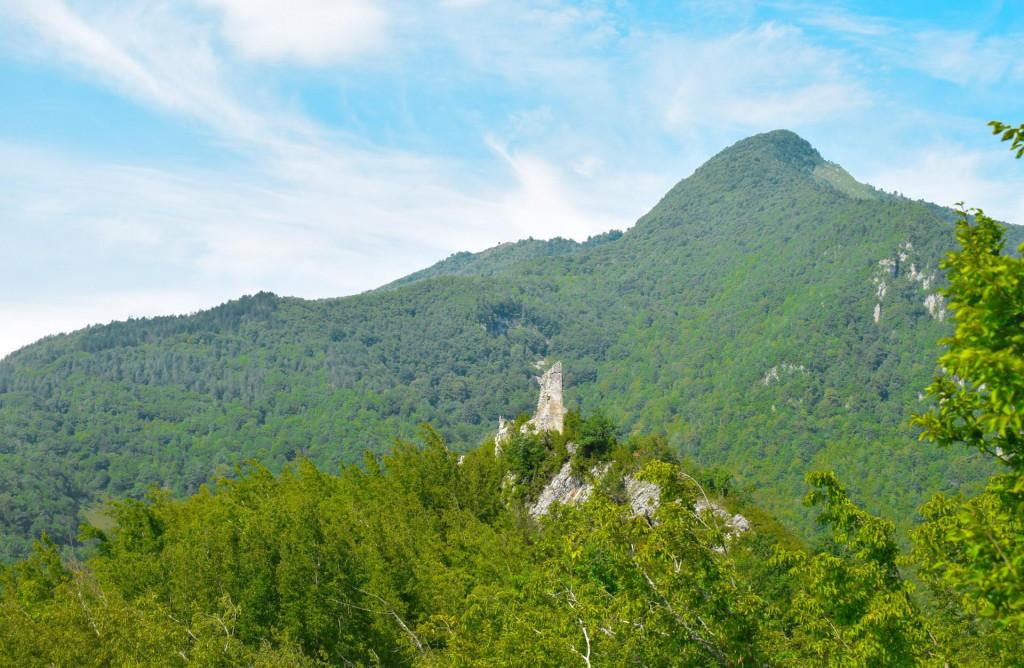 მურის ციხე