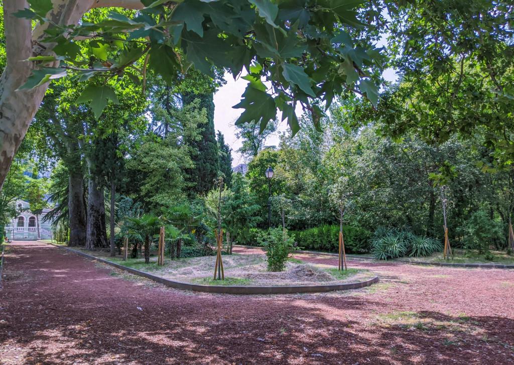 MVIMG_20200725_152758