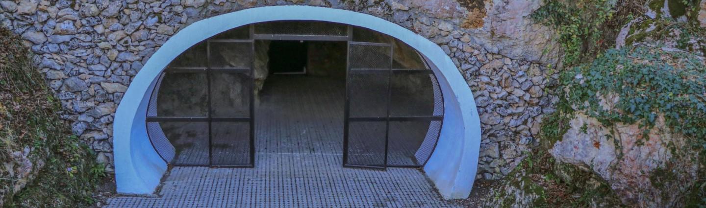 navenakhevis-mghvime-navenakhevi