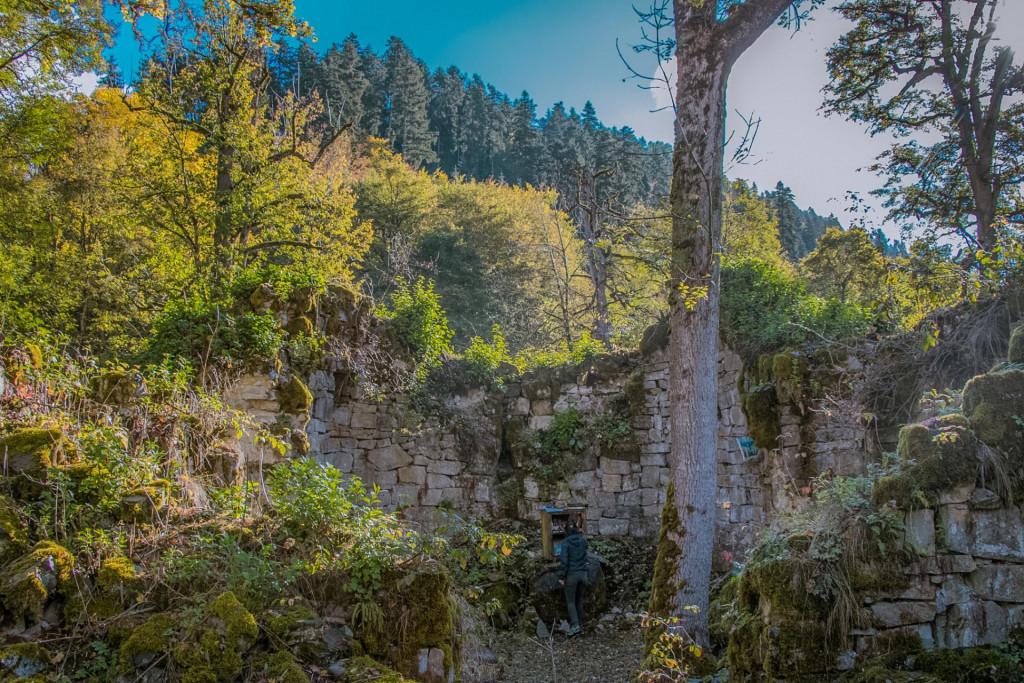 nedzvis-monasteri-nedzvis-samekl