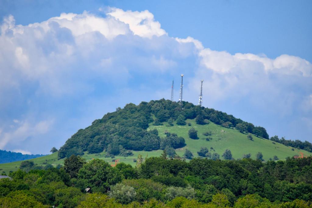 კორბოული