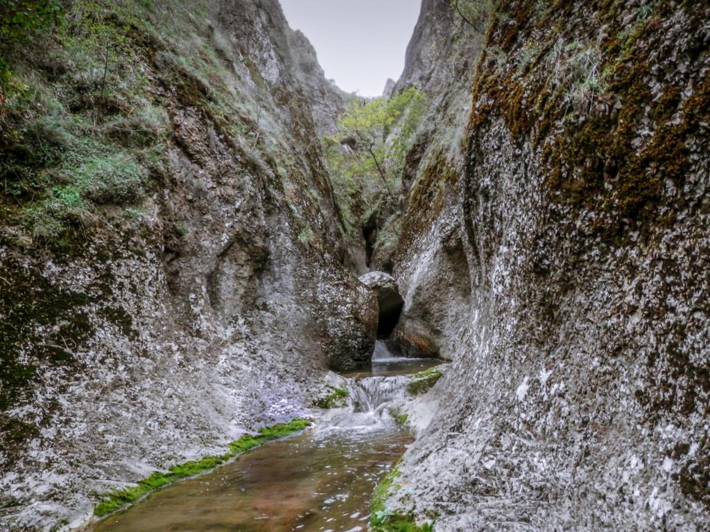 ბირთვისის ციხის კომპლექსი - Birtvisi fortress