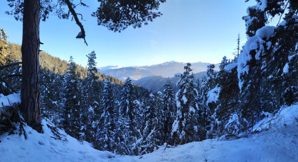 ნაკვალევის ბილიკი