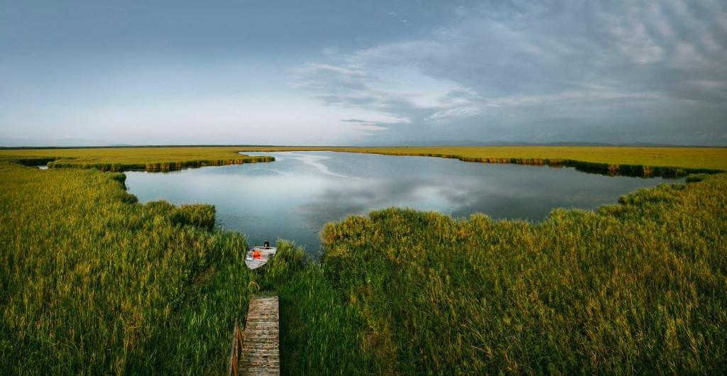 გრინ ჰაუსი - Green House