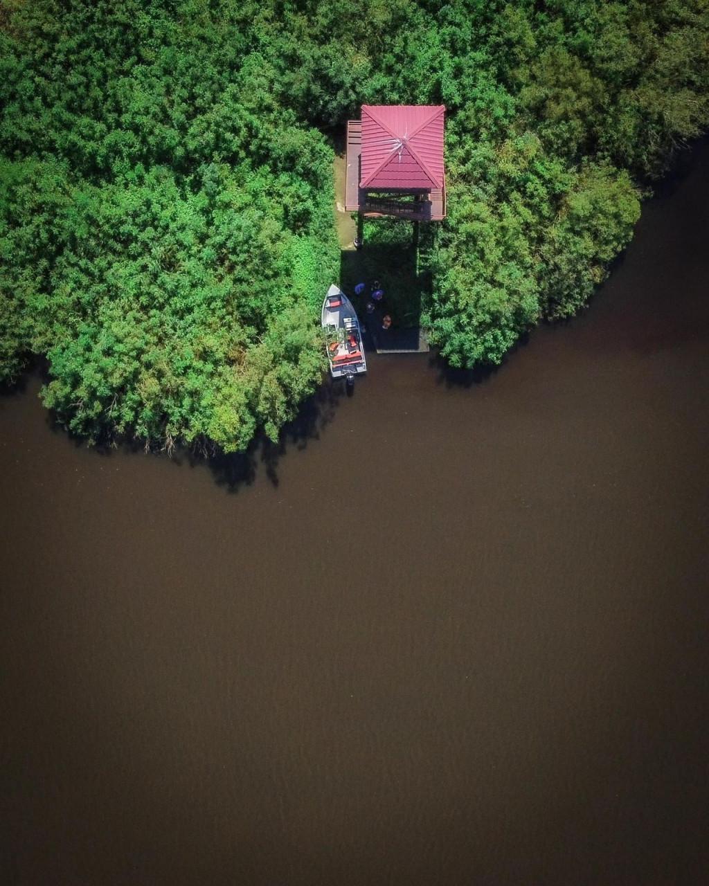 გრინ ჰაუსი - Green House