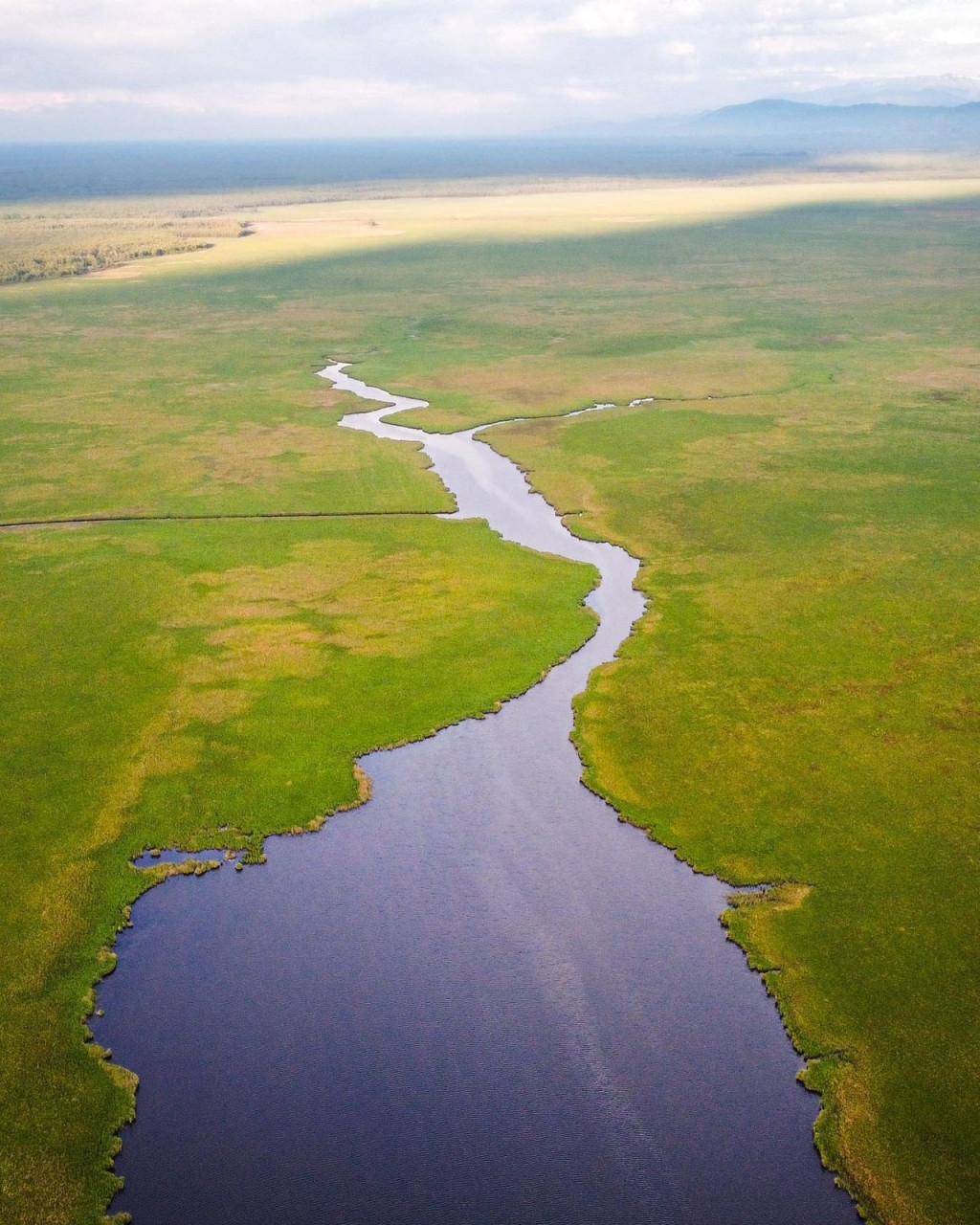 გრინ ჰაუსი - Green House