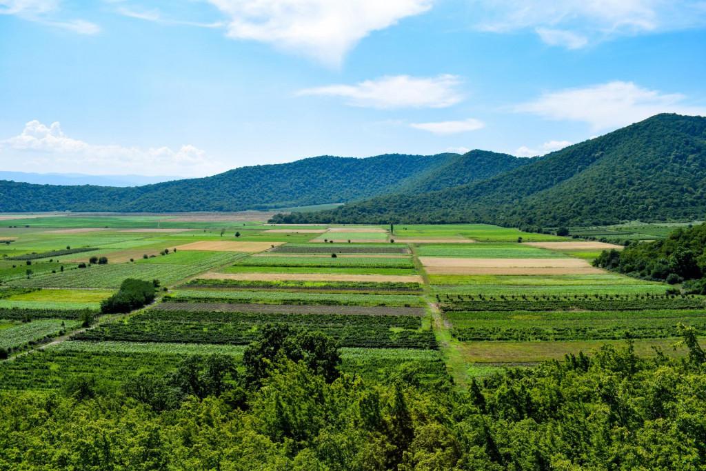 Tali (Story) tower, კოშკი