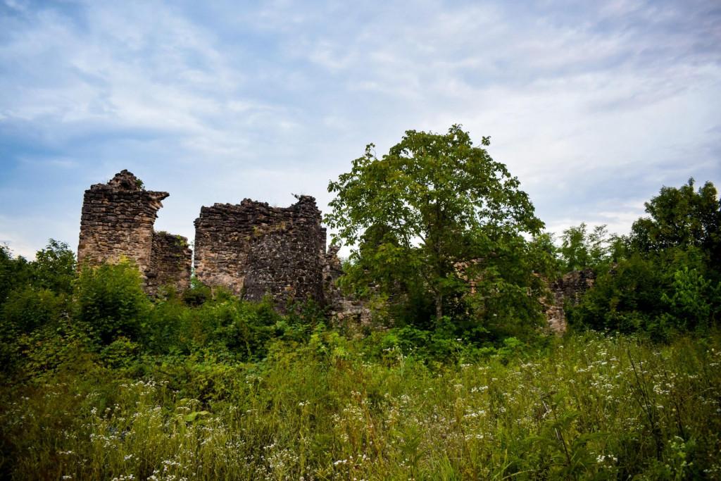 Vachnadziani palatebi