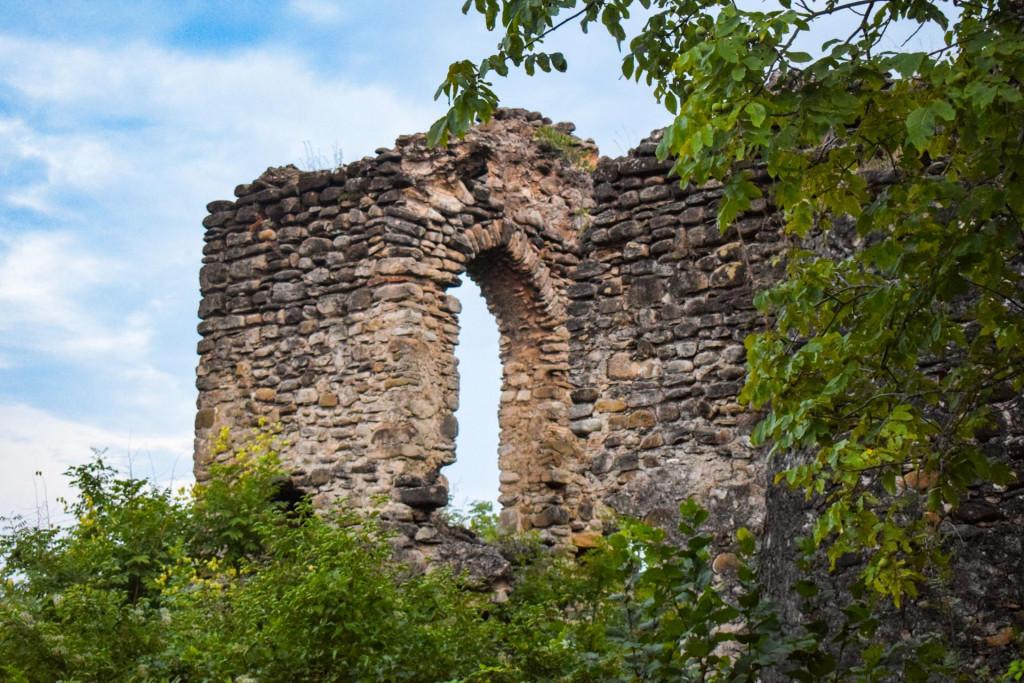 Vachnadziani palatebi