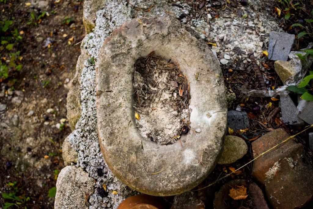 Makhatauri Tedotsminda