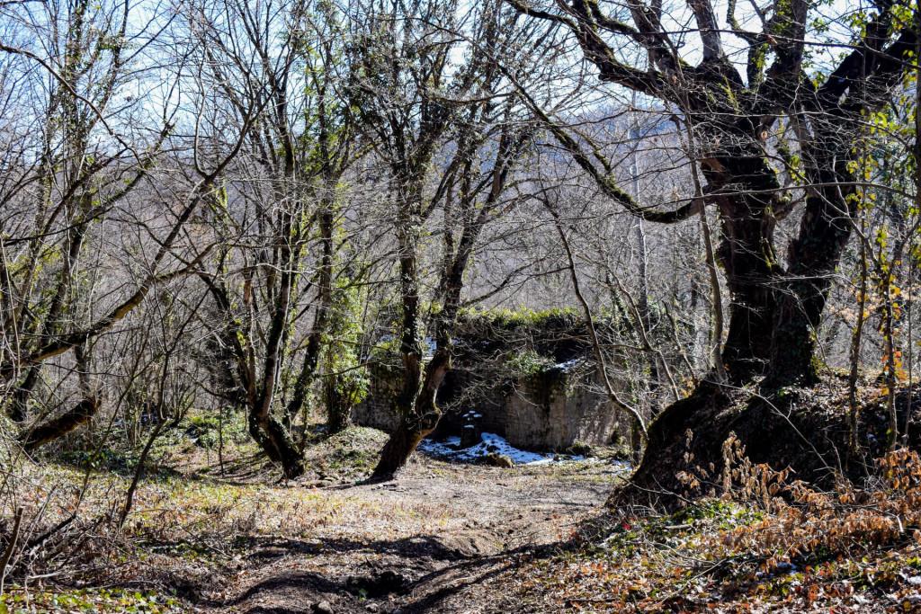 შაშიანის სამება