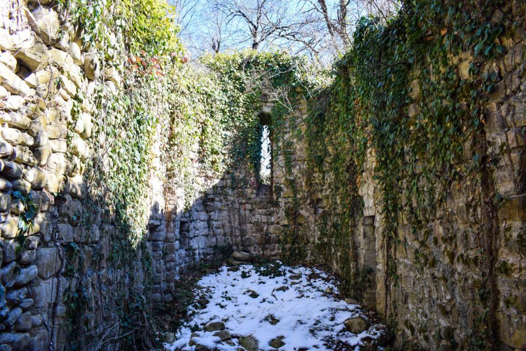 შაშიანის სამება
