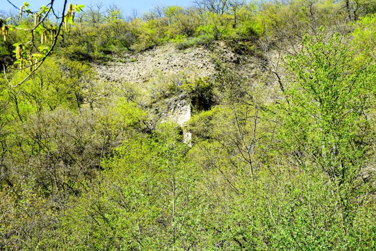 კლდეზე მიკრული ეკლესია