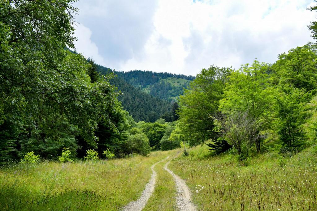 ფეტვისხევის მარიამწმინდას ეკლესია