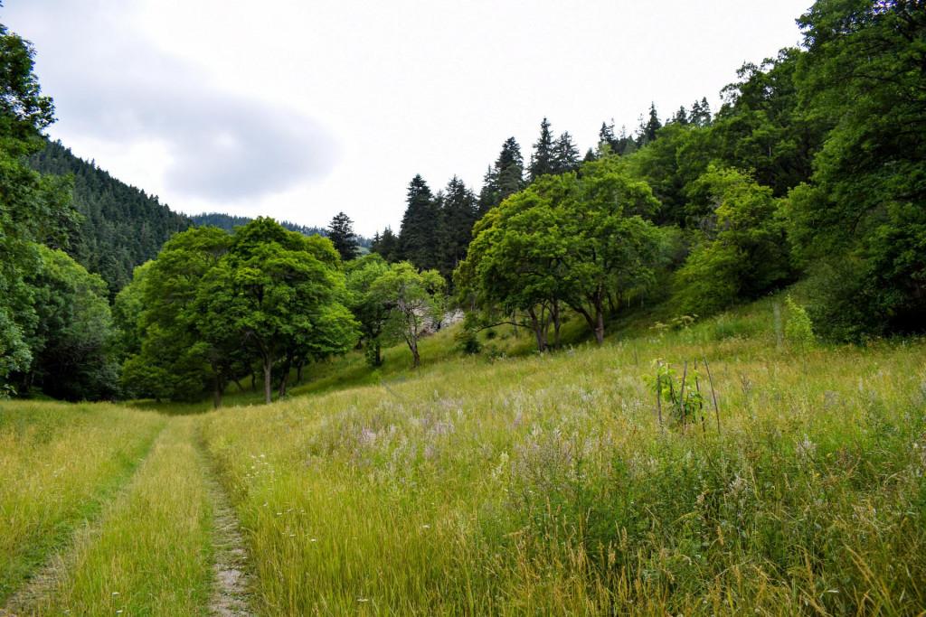 ფეტვისხევის მარიამწმინდას ეკლესია