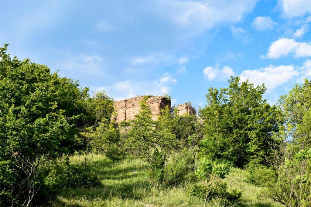 ალვანის ცხრაკარას სასახლე