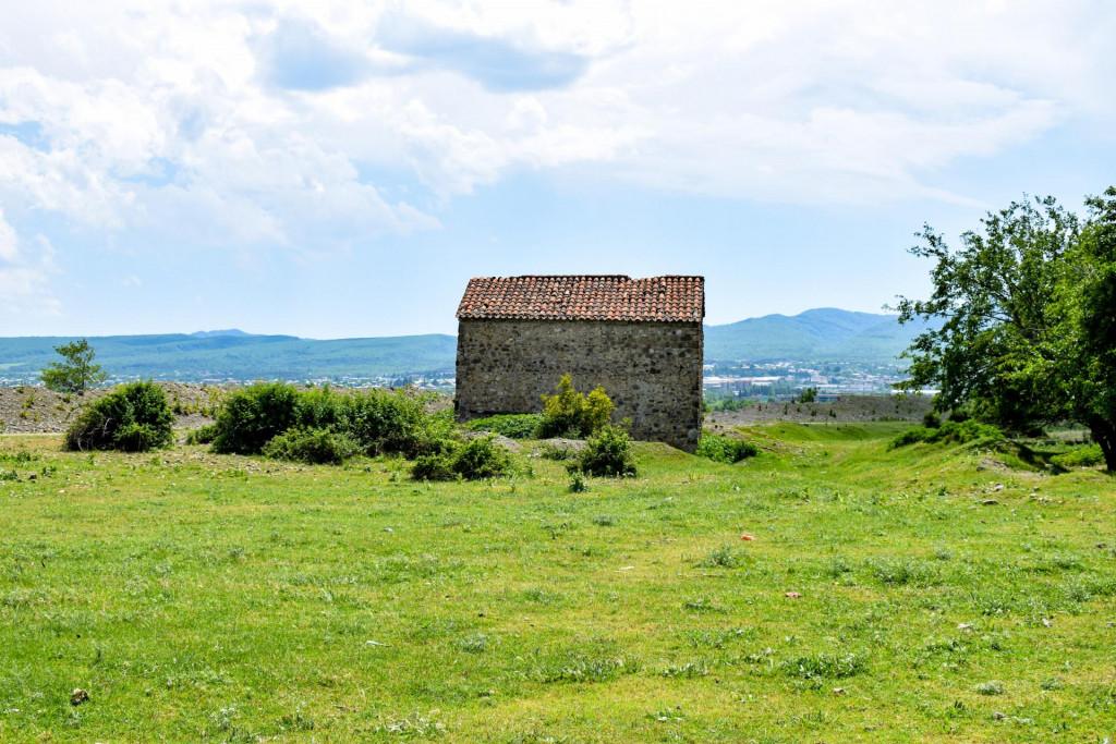 გულგულას (ყვავიჭამია) ყვავისსაყდარი