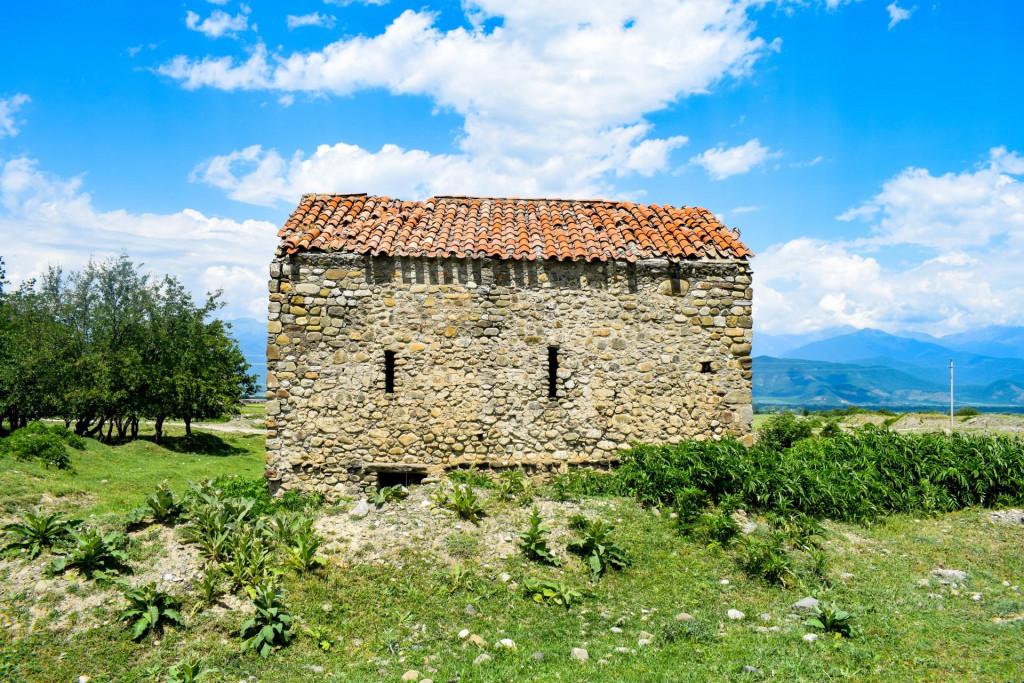 გულგულას (ყვავიჭამია) ყვავისსაყდარი