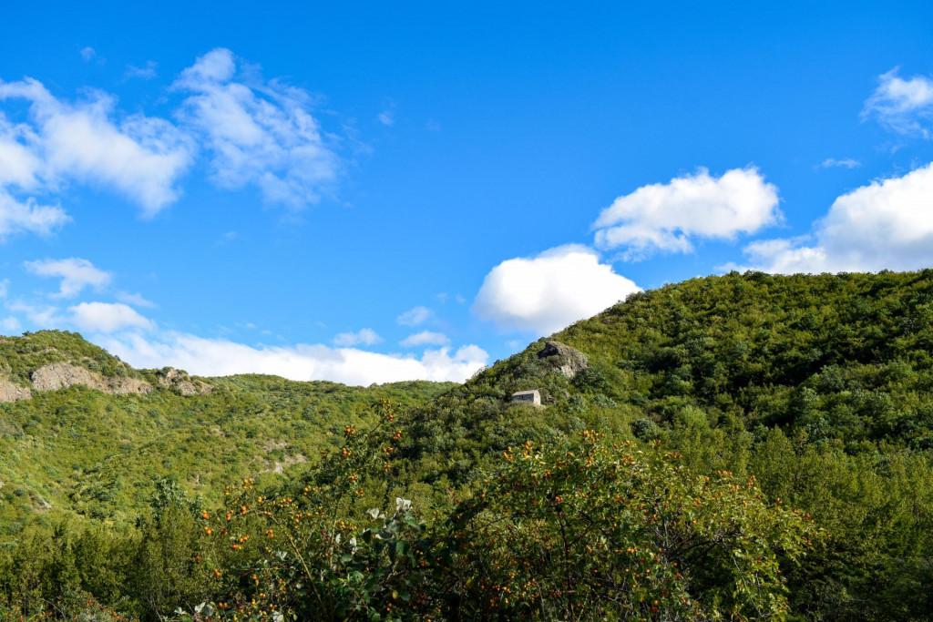 ჭოროკნის წმინდა გიორგის ეკლესია