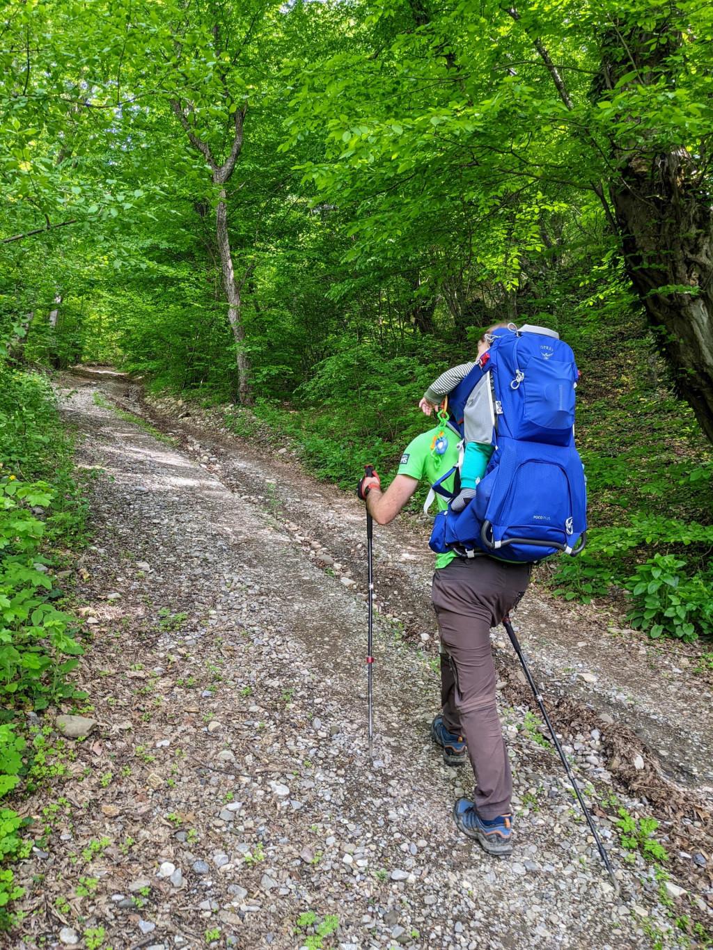 საგურამოს ნაკრძალი