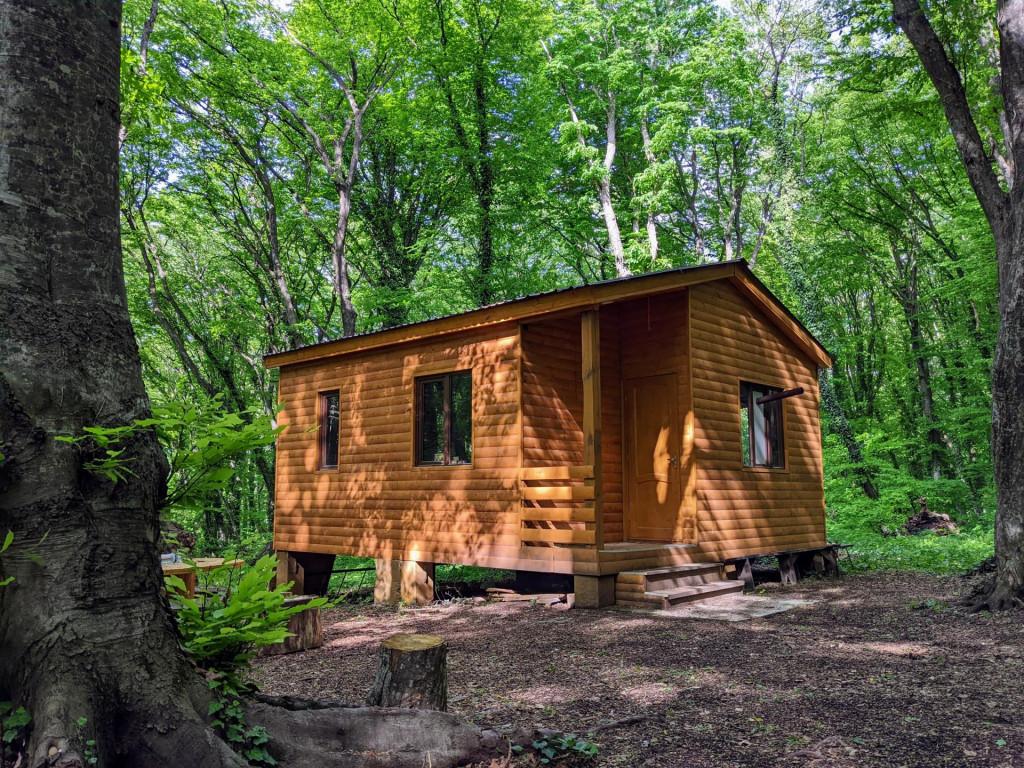 საგურამოს ნაკრძალი