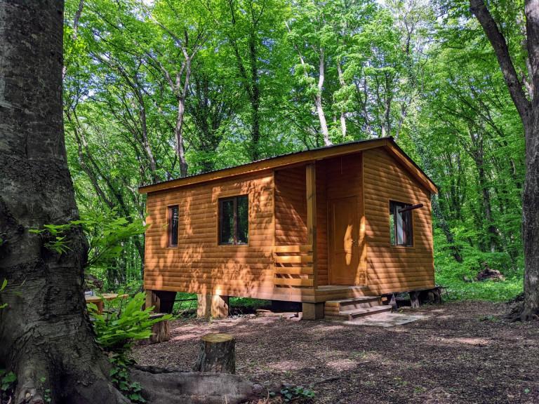 საგურამოს ნაკრძალი