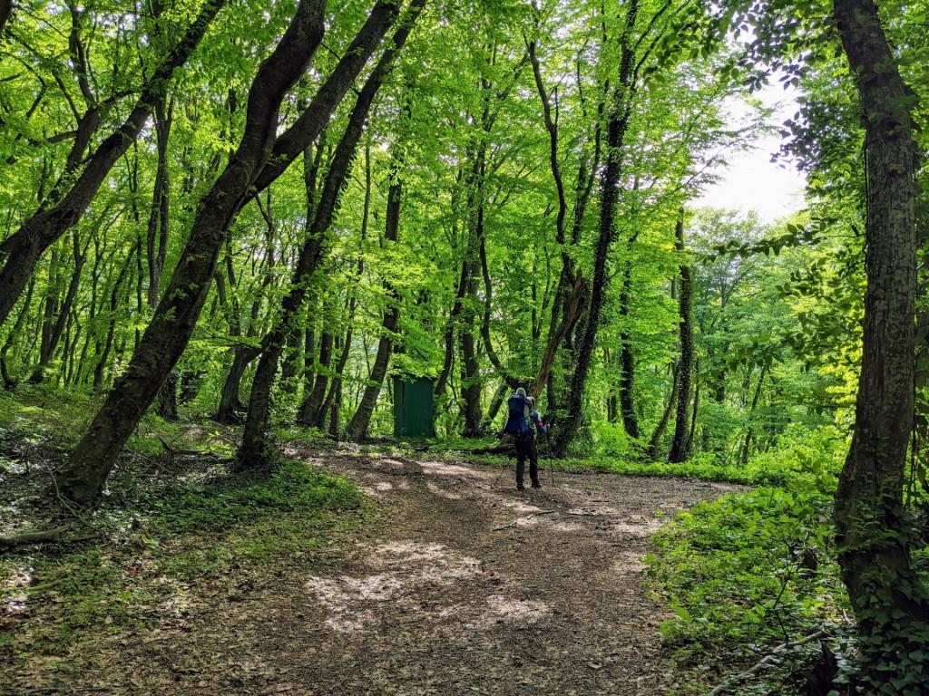 საგურამოს ნაკრძალი