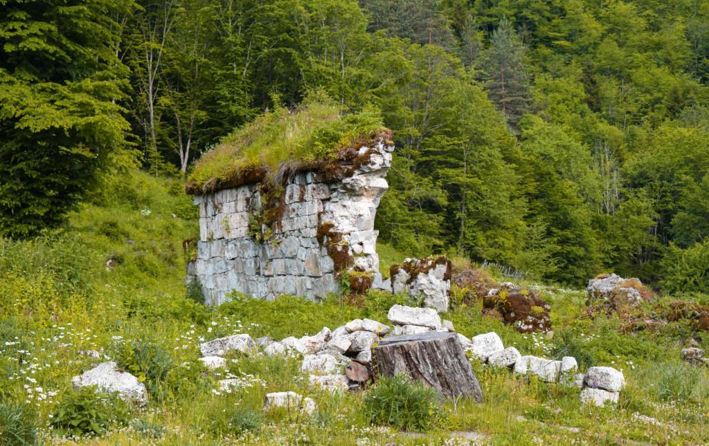 ბერისაყდრების ეკლესია და წმინდა ათანასე ათონელის სახელობის მამათა მონასტერი