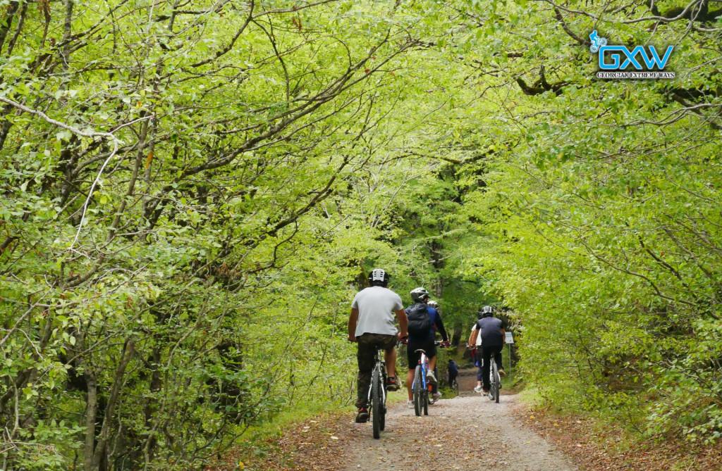 ერთ დღიანი ველოტური რკონში