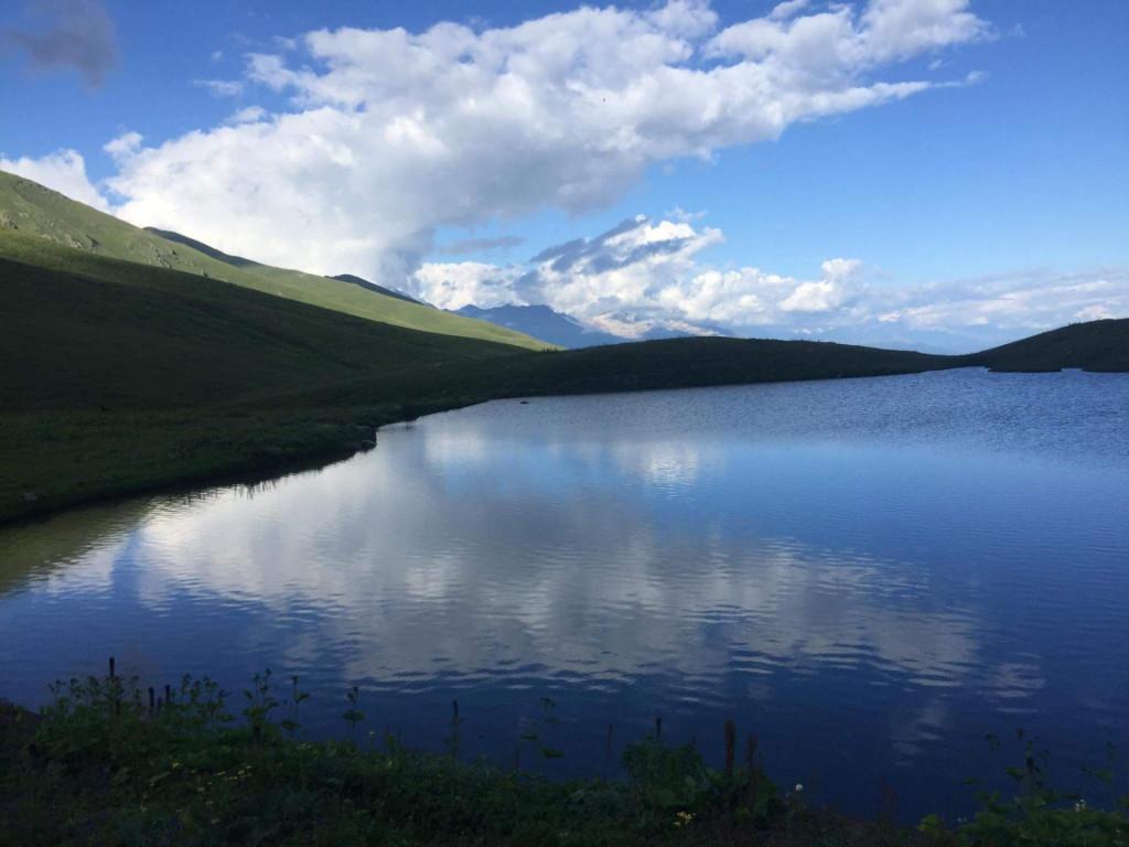 received_736842170433284